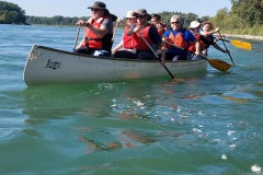 signal-2023-09-24-180301_008