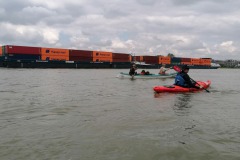 signal-2023-05-16-094538_002