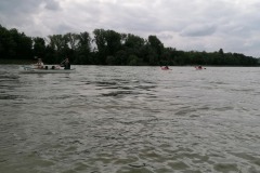 signal-2023-05-16-094538_004