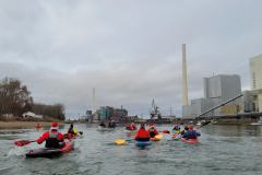 signal-2025-12-07-142430_003