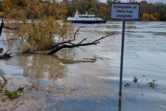 signal-2023-11-20-163351_004