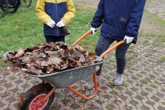 signal-2024-11-20-083709_011