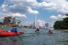 signal-2022-06-12-174117_003