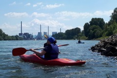 signal-2022-06-12-174117_011