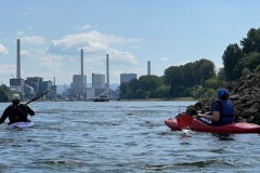 signal-2022-06-12-181630_012