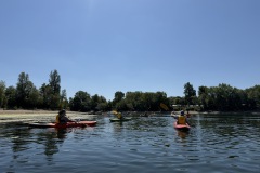 IMG_0807