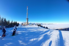signal-2023-01-26-162311_002