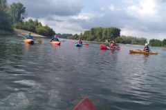 signal-2022-09-12-092146_002