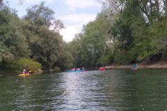 signal-2022-09-12-092146_006