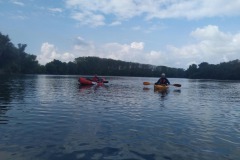 signal-2022-09-12-092146_008