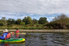 signal-2025-10-03-143711_006