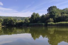 1657519406501-scaled